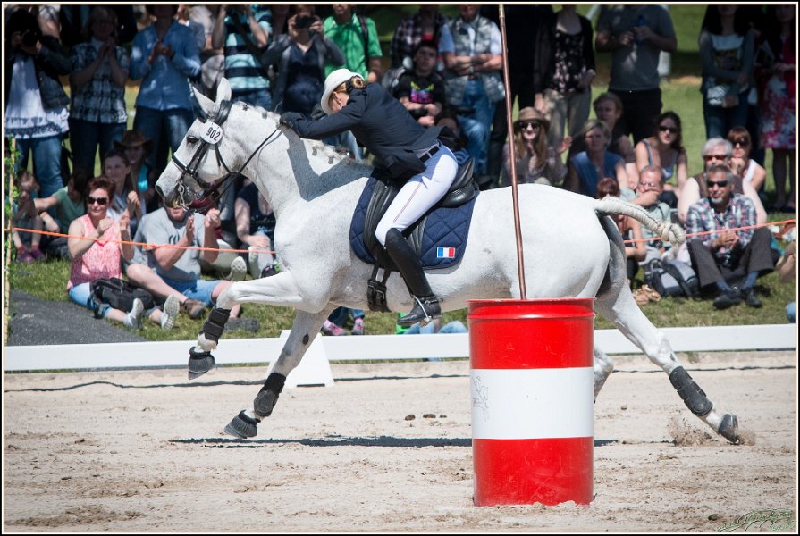 Pferd International 163